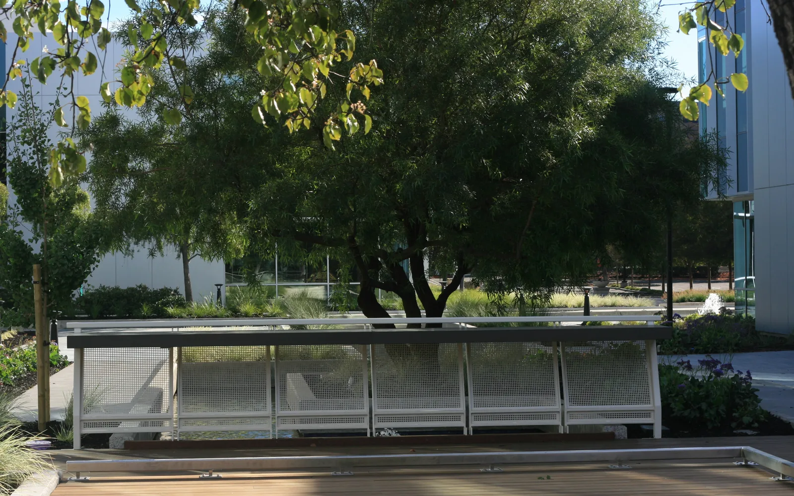 Silicon Valley technology campus with modern architecture and landscaped grounds